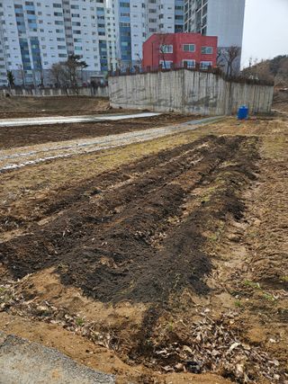 박홍권님의 기타작물 · 영농일지 작성글 사진