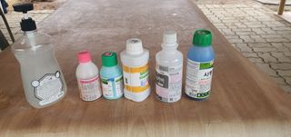 박상중님의 마늘 · 영농일지 작성글 사진