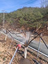 이한재님의 작성글 사진