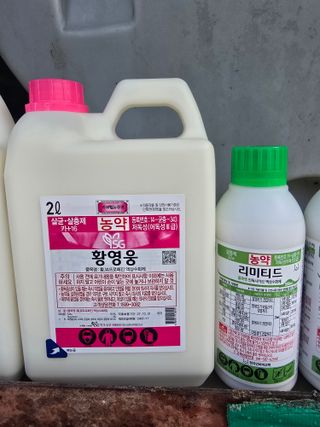 신현오님의 복숭아 · 영농일지 작성글 사진