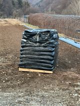 팜모닝 기타작물·영농일지 게시글 이미지