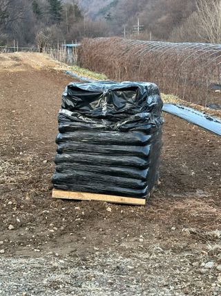 이익수님의 기타작물 · 영농일지 작성글 사진