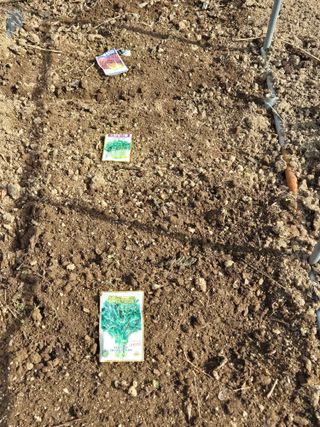 행복하게~님의 작성글 사진