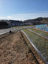 백현호님의 작성글 사진