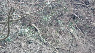 홍광희님의 기타작물 · 영농일지 작성글 사진