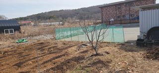 김성필님의 기타작물 · 영농일지 작성글 사진