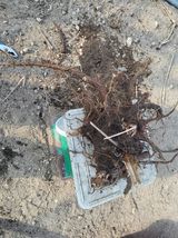 김종덕님의 작성글 사진