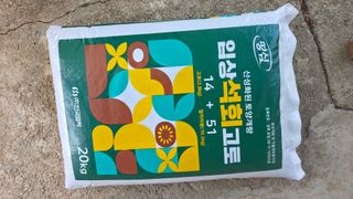  조약돌님의 옥수수 · 영농일지 작성글 사진