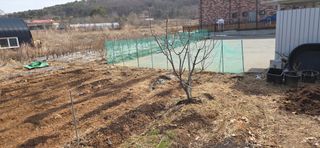 김성필님의 기타작물 · 영농일지 작성글 사진