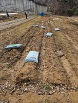 팜모닝 기타작물·영농일지 게시글 이미지