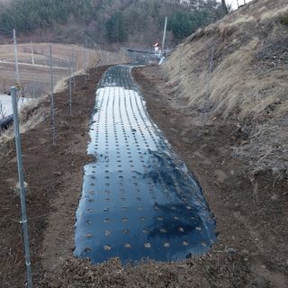 가로수님의 기타작물 · 영농일지 작성글 사진