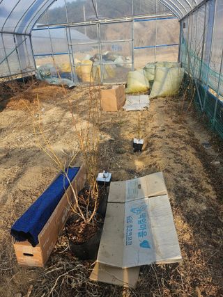 조정훈님의 기타작물 · 영농일지 작성글 사진