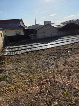 백현호님의 작성글 사진