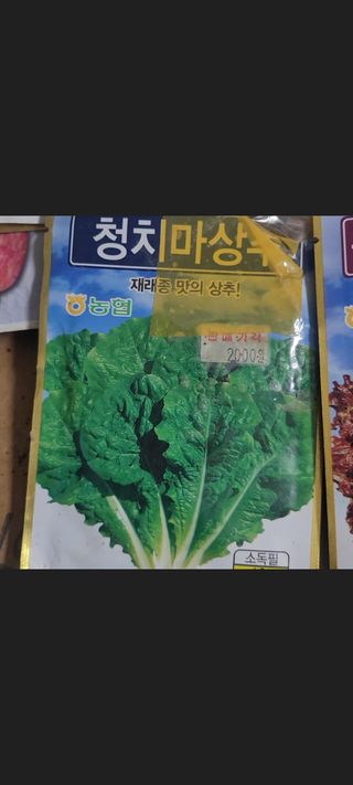 알렉산더님의 상추 · 영농일지 작성글 사진