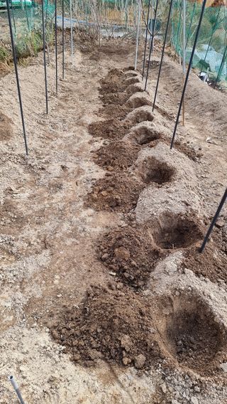 권혁렬님의 기타작물 · 영농일지 작성글 사진