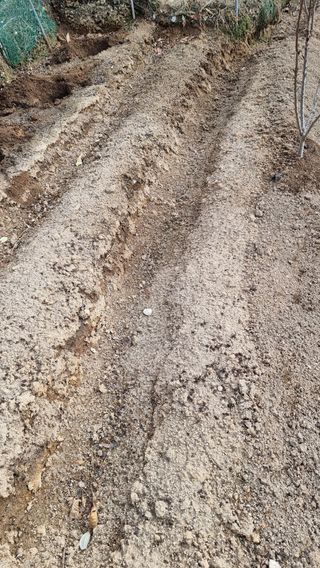 권혁렬님의 기타작물 · 영농일지 작성글 사진