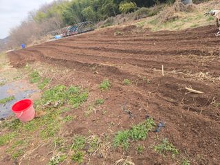 박정원님의 기타작물 · 영농일지 작성글 사진