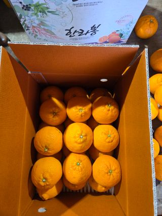 산방자연농원님의 귤 · 영농일지 작성글 사진