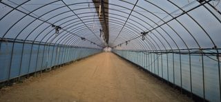 미노님의 기타작물 · 영농일지 작성글 사진