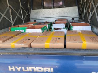 개인교수님의 파 · 영농일지 작성글 사진