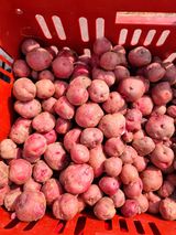 팜모닝 기타작물·영농일지 게시글 이미지