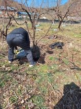이홍석님의 작성글 사진
