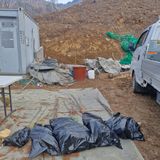 팜모닝 기타작물·영농일지 게시글 이미지