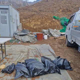 연국흠님의 기타작물 · 영농일지 작성글 사진