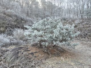 musim님의 사과 · 영농일지 작성글 사진