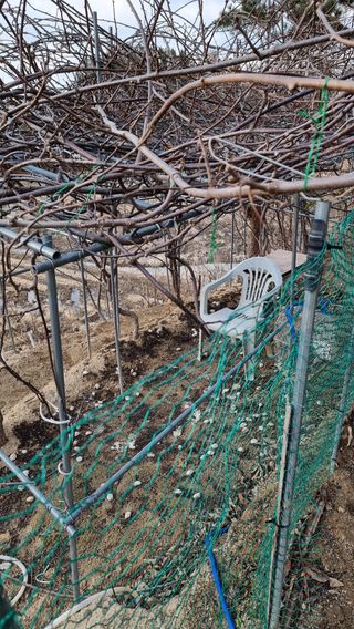 권혁렬님의 기타작물 · 영농일지 작성글 사진