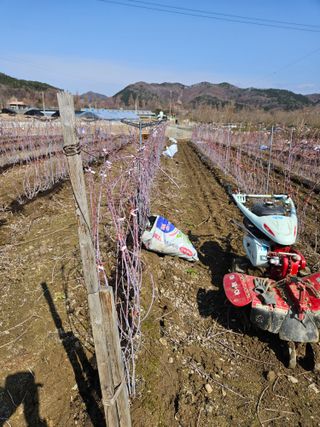 류대균님의 기타작물 · 영농일지 작성글 사진