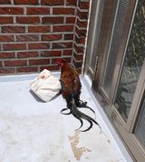 팜모닝 기타작물·영농일지 게시글 이미지