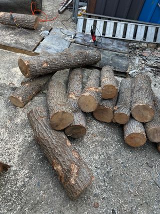 단감대봉시금치당님의 기타작물 · 영농일지 작성글 사진