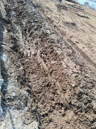 최한기님의 기타작물 · 영농일지 작성글 사진