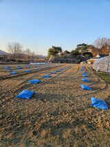 팜모닝 기타작물·영농일지 게시글 이미지