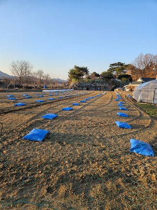 천수님의 기타작물 · 영농일지 작성글 사진