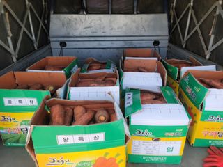 개인교수님의 파 · 영농일지 작성글 사진