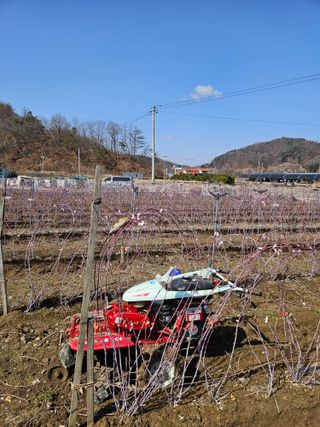 류대균님의 기타작물 · 영농일지 작성글 사진