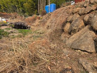 쌍둥이농장님의 기타작물 · 영농일지 작성글 사진