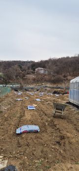 팜모닝 기타작물·영농일지 게시글 이미지