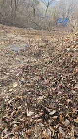 팜모닝 기타작물·영농일지 게시글 이미지