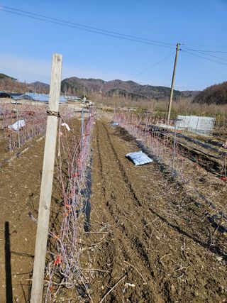 류대균님의 기타작물 · 영농일지 작성글 사진