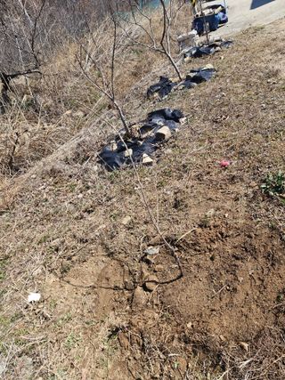 텃밭농사초보님의 기타작물 · 영농일지 작성글 사진