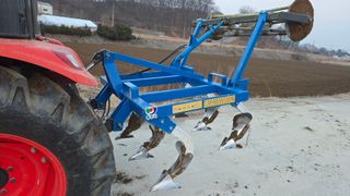 안경준님의 콩 · 영농일지 작성글 사진