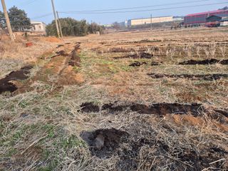 김기철님의 기타작물 · 영농일지 작성글 사진