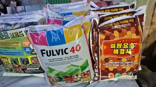 김용훈 님의 토마토 · 영농일지 작성글 사진