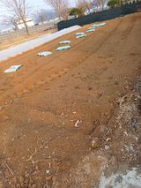 팜모닝 고추·영농일지 게시글 이미지