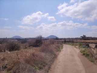 개인교수님의 파 · 영농일지 작성글 사진