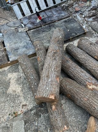 단감대봉시금치당님의 기타작물 · 영농일지 작성글 사진