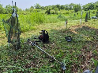 왕대추님의 기타작물 · 영농일지 작성글 사진